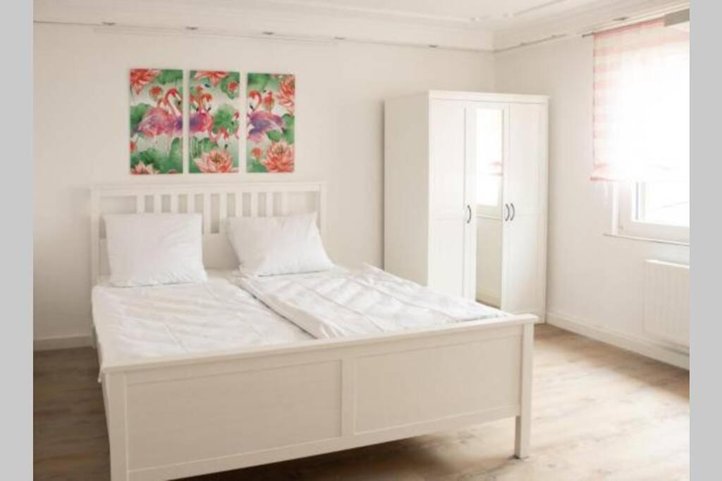 Bruehl Mitte, Neu Renoviertes Haus Villa Eksteriør bilde